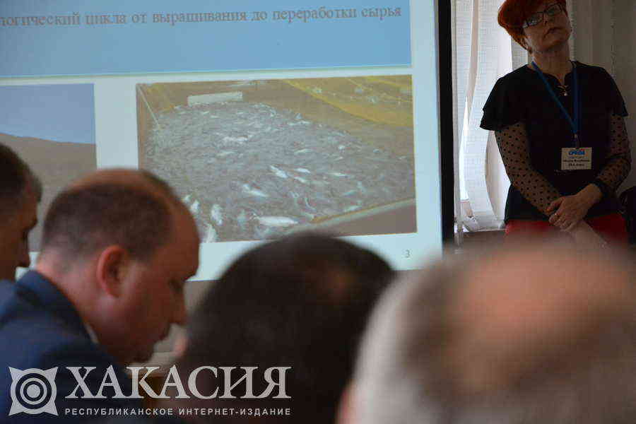 Фото галереи