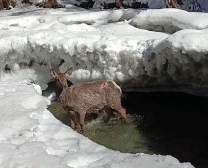 Фото галереи
