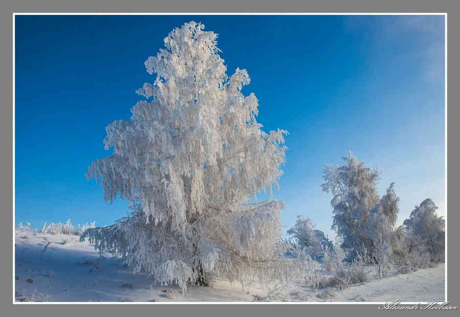 Фото галереи