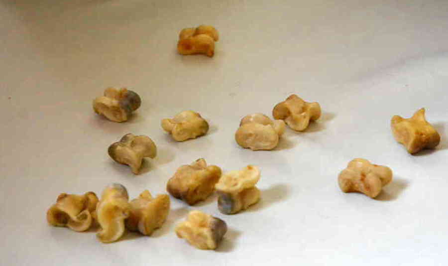 Фото галереи