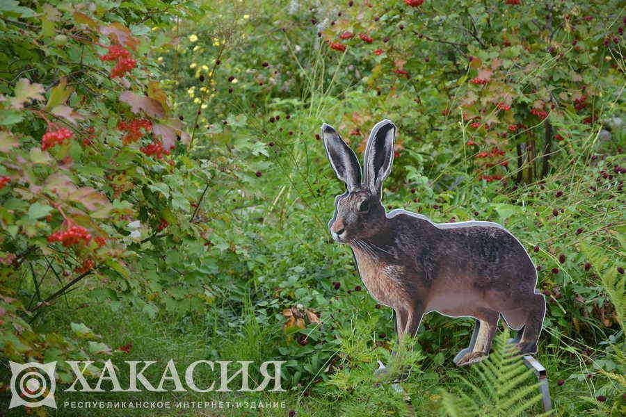 Фото галереи
