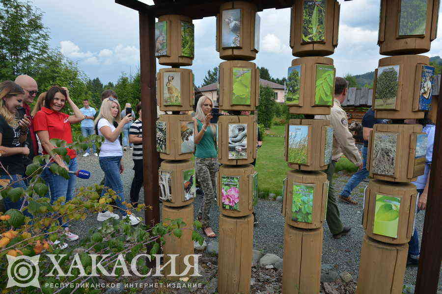 Фото галереи