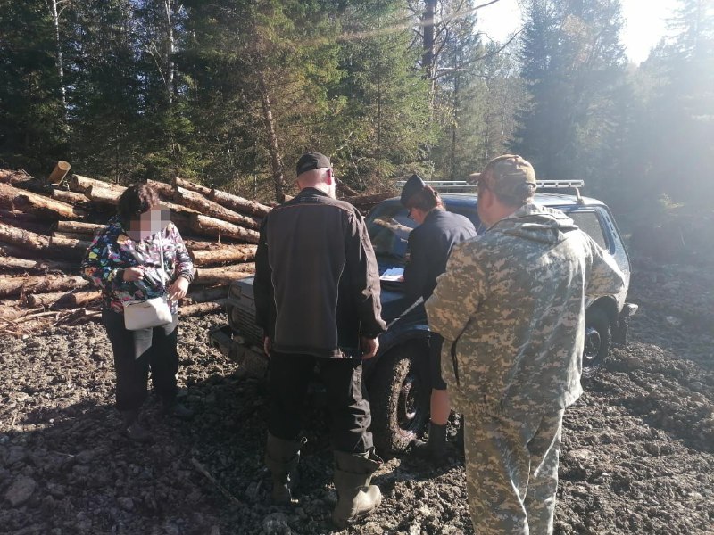 Фото галереи