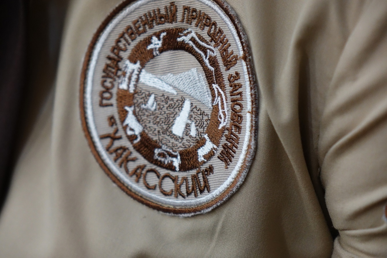 Фото галереи