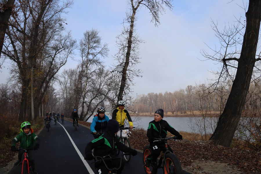 Фото галереи