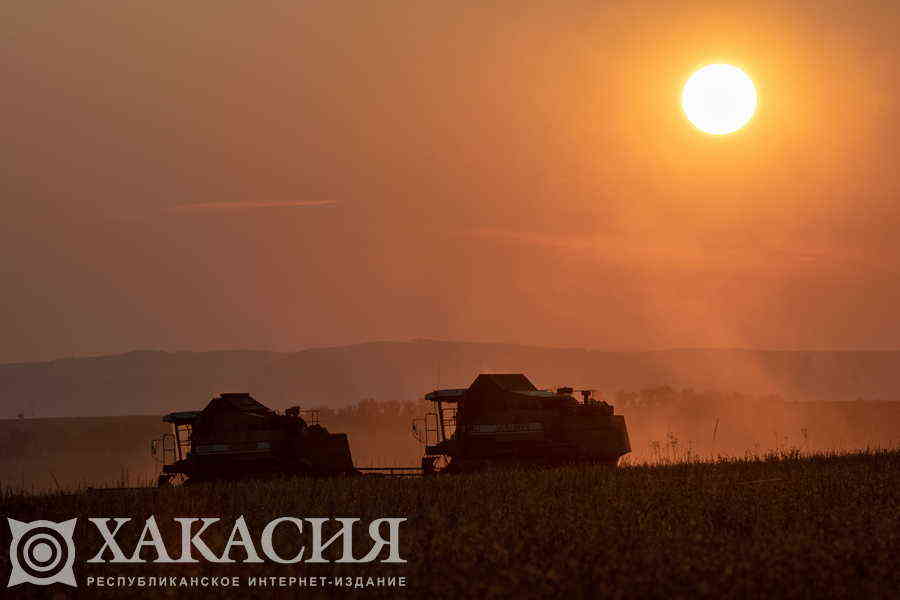 Фото галереи