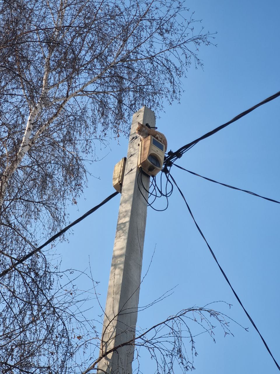Фото галереи