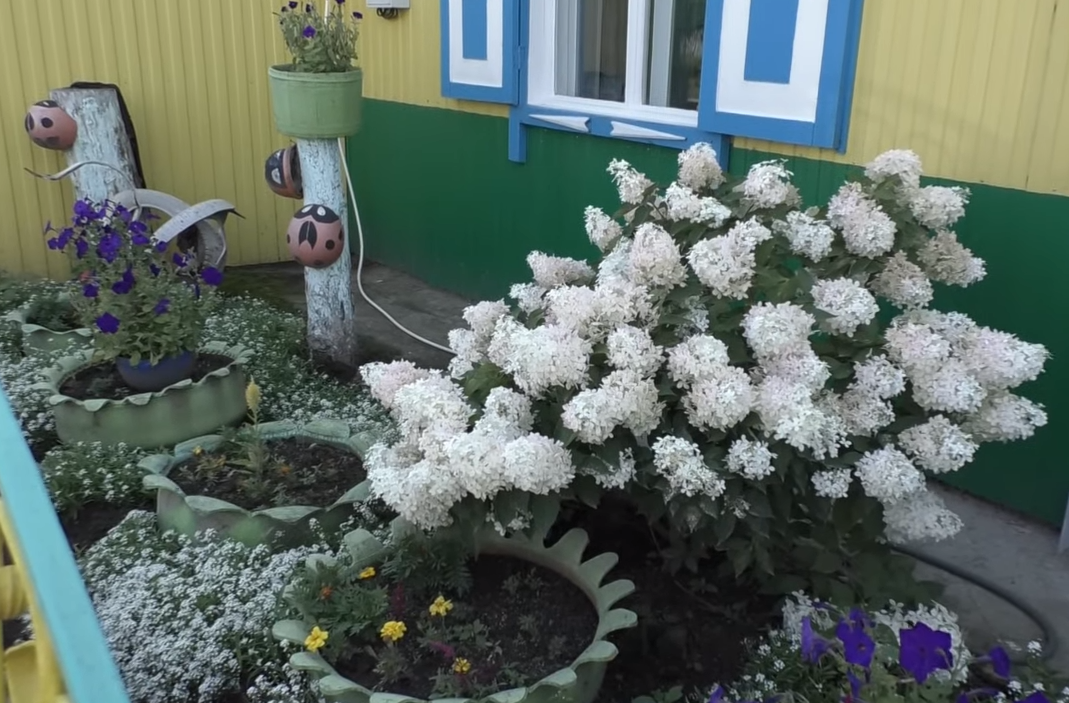 Фото галереи