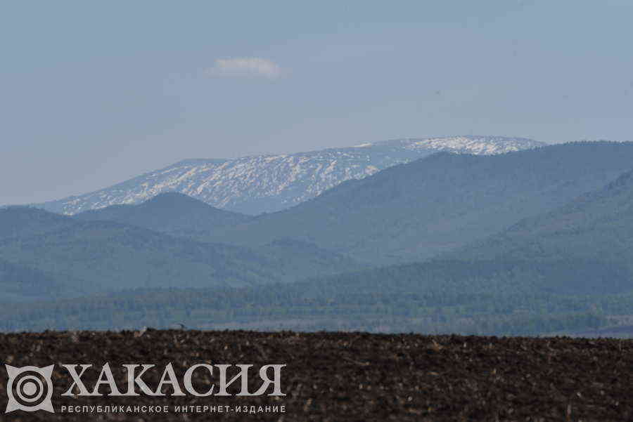 Фото галереи
