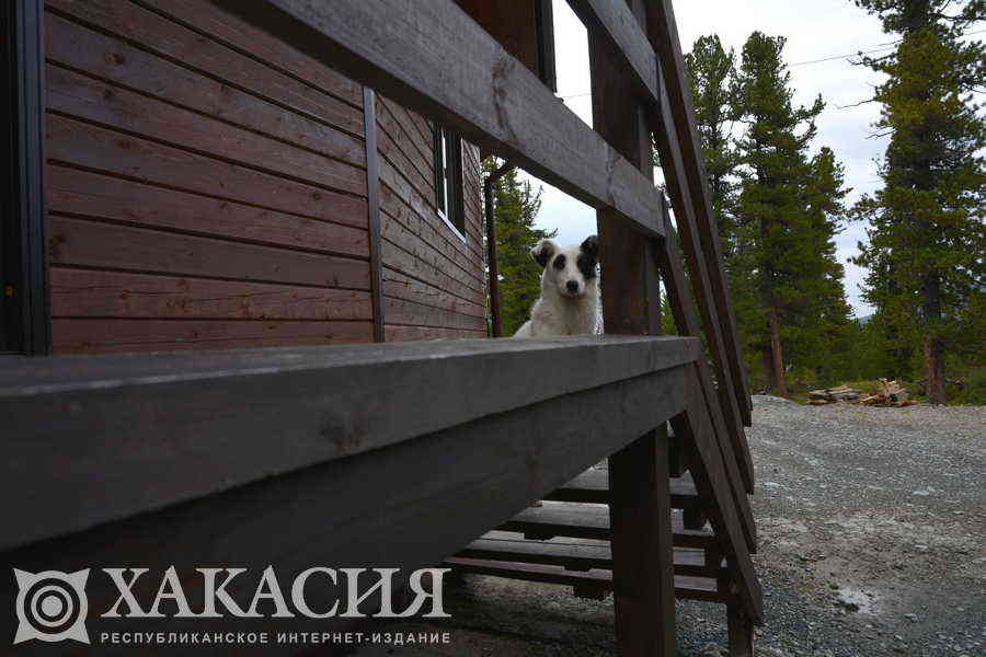 Фото галереи