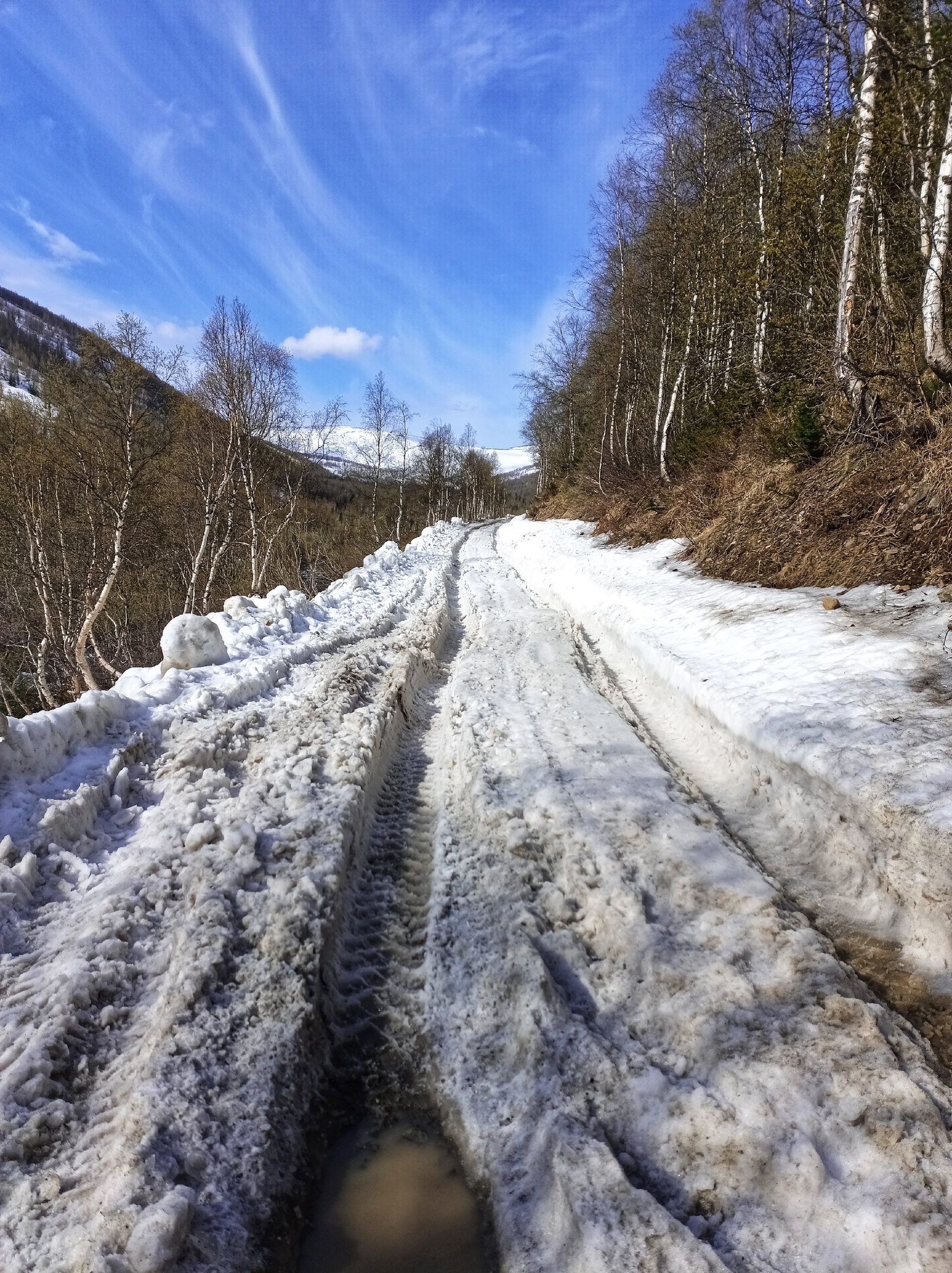 Фото галереи