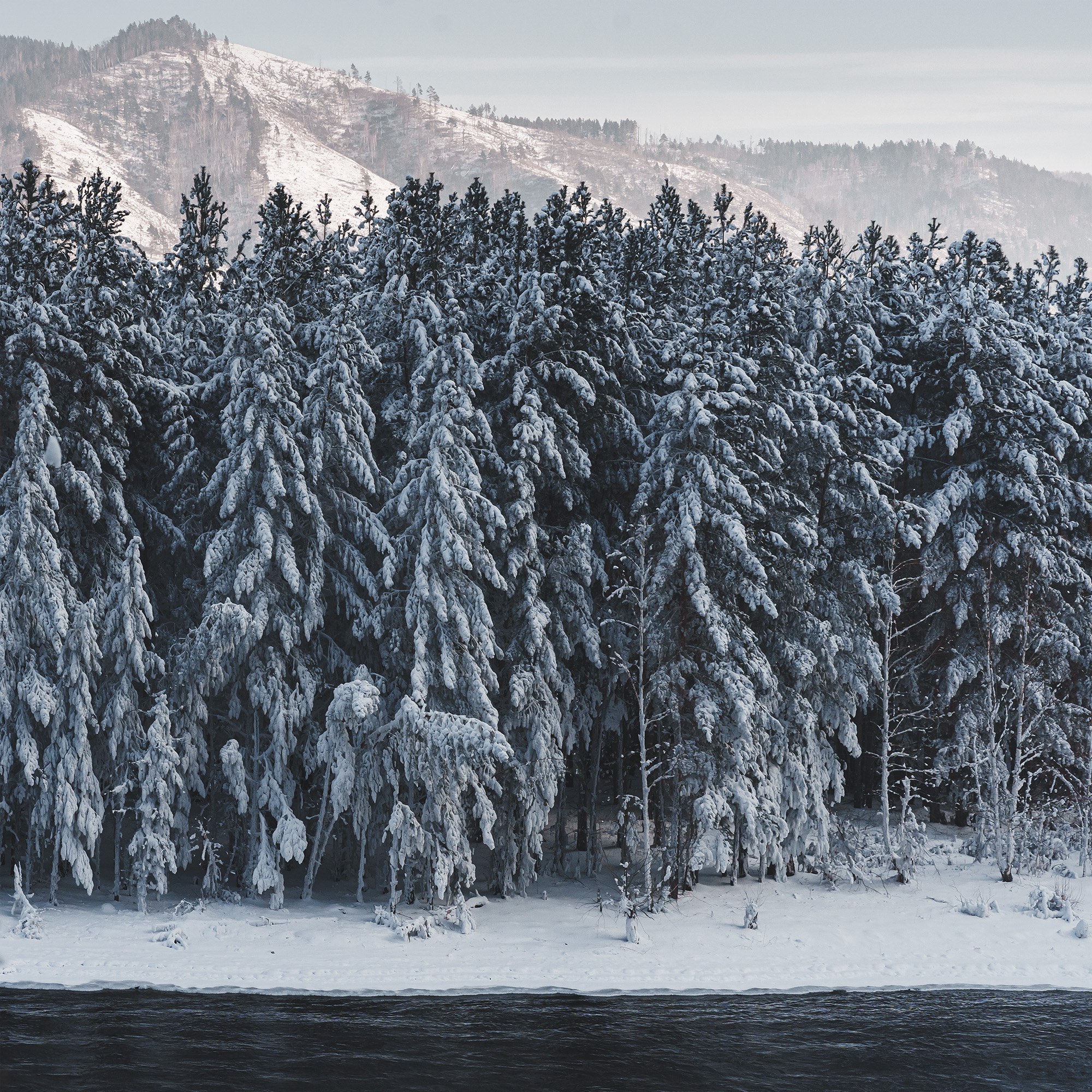 Фото галереи