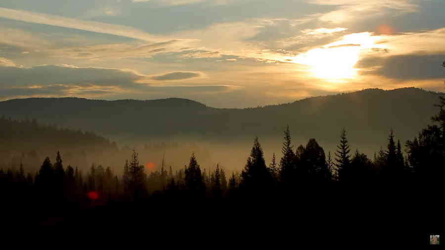 Фото галереи