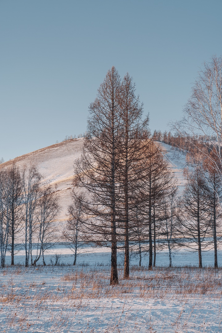 Фото галереи