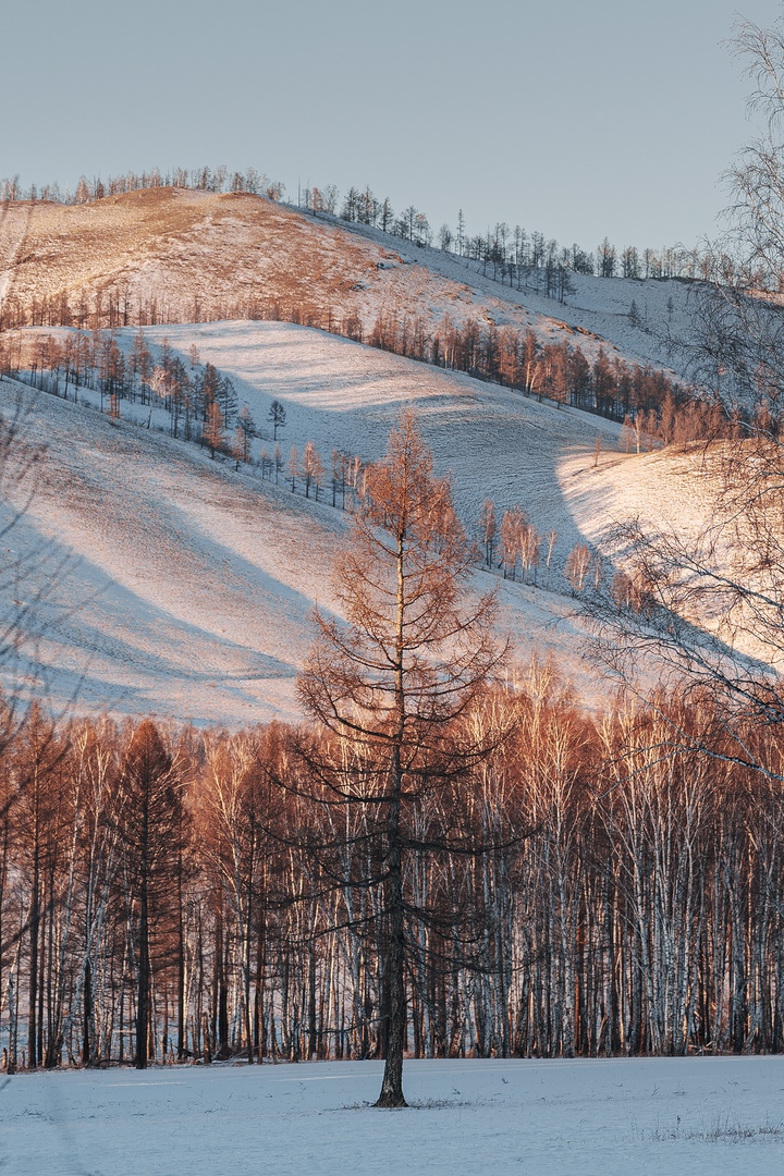 Фото галереи