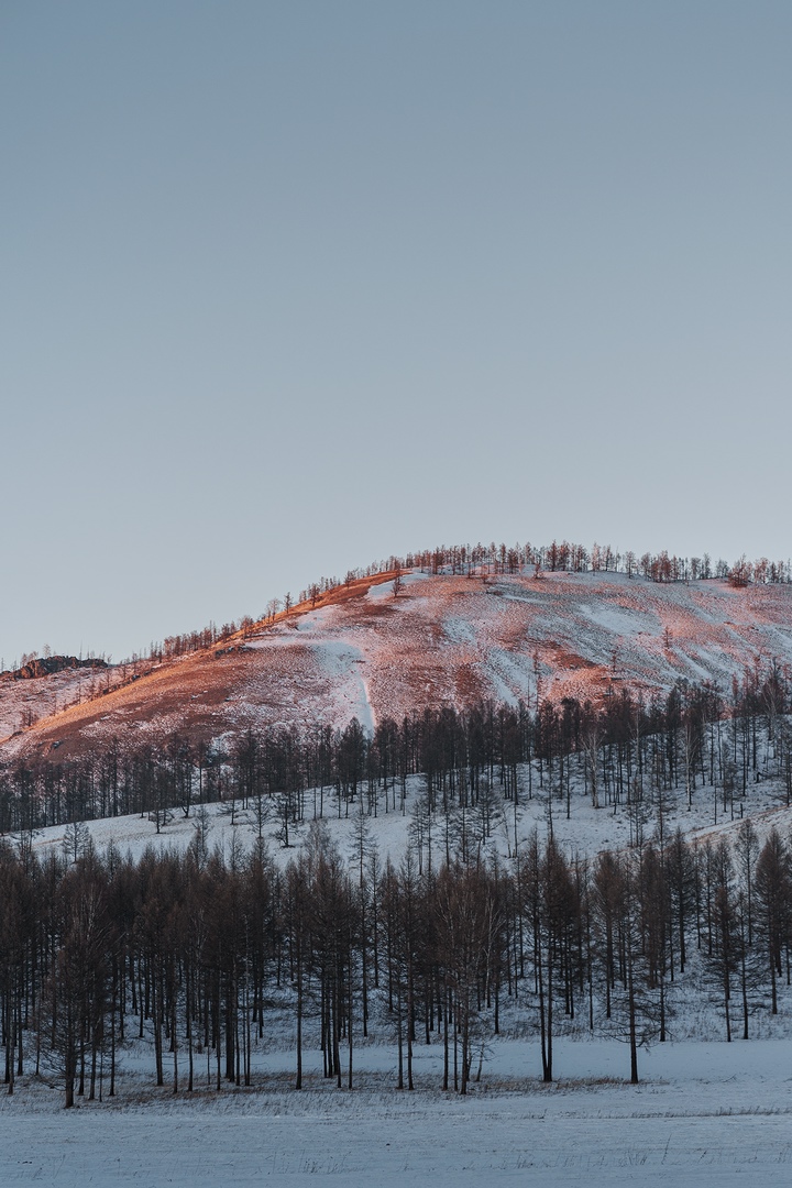 Фото галереи