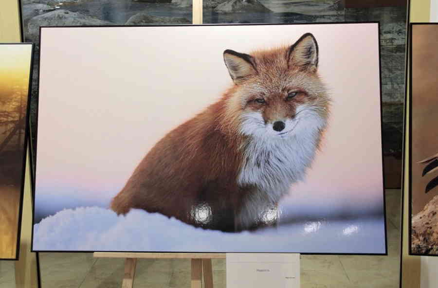 Фото галереи