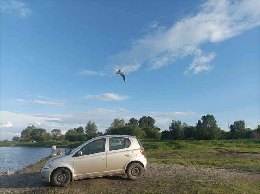 Фото галереи