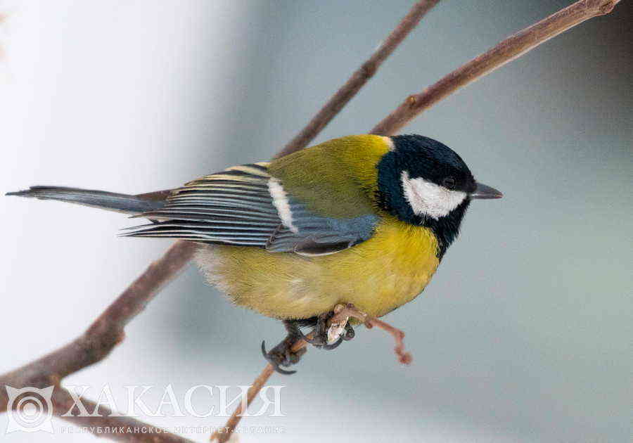 Фото галереи