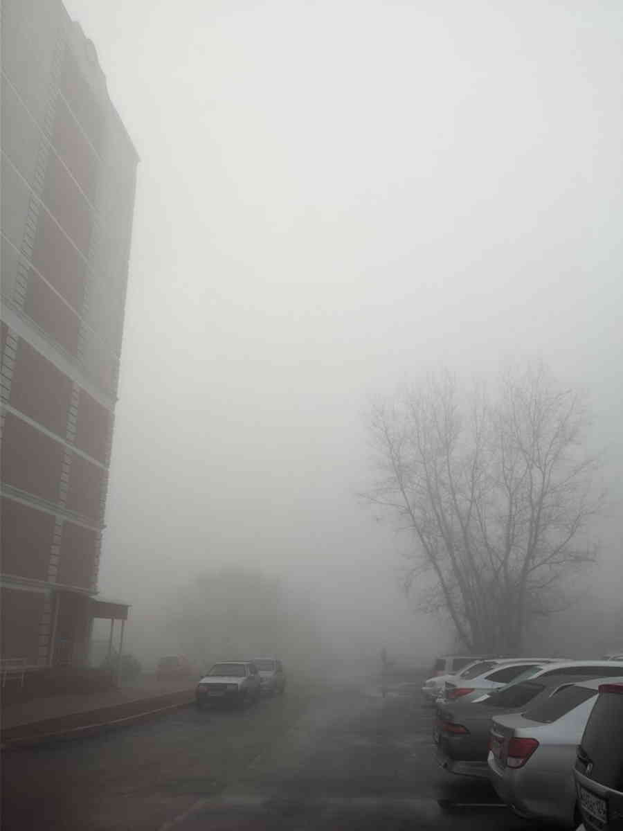 Фото галереи