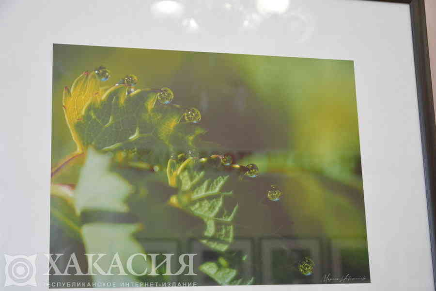 Фото галереи