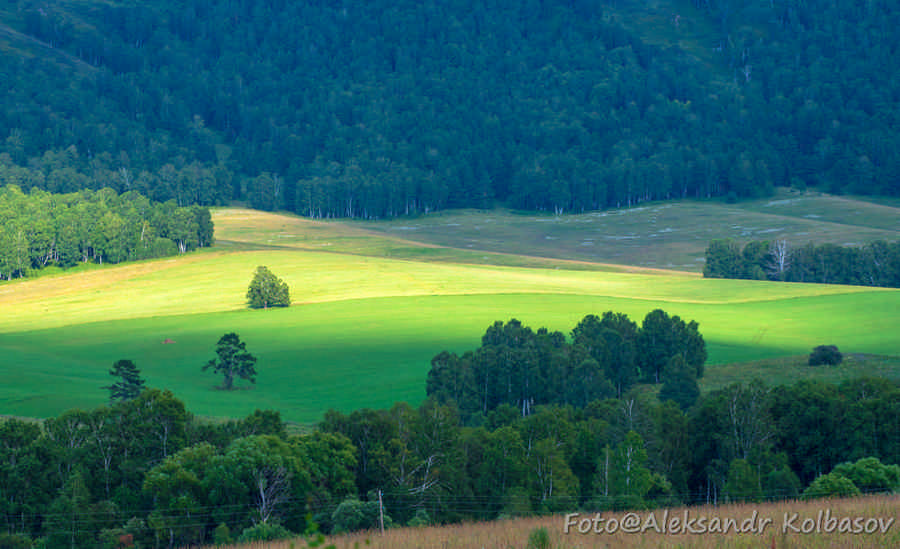 Фото галереи