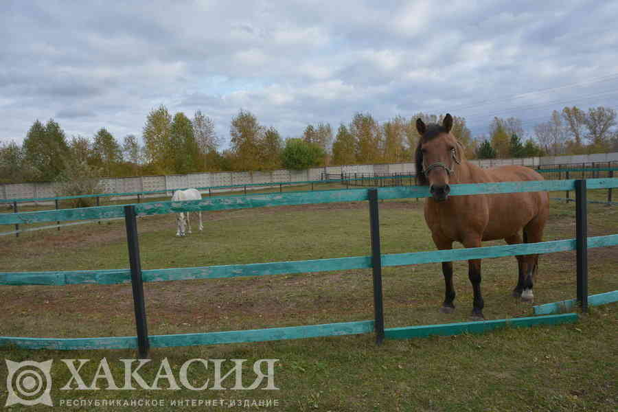 Фото галереи