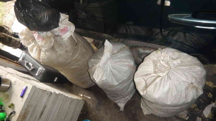 Фото галереи