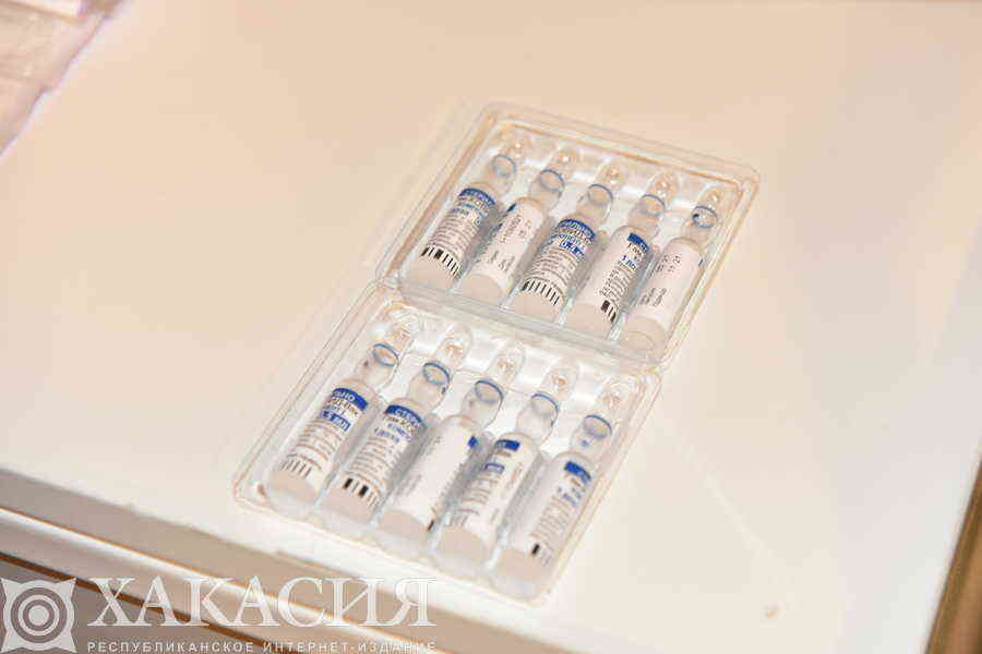 Фото галереи