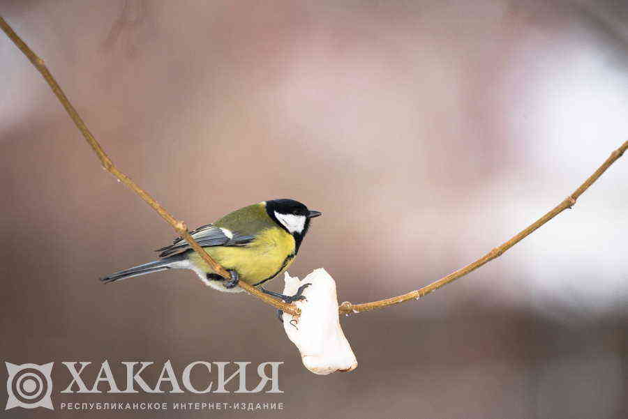 Фото галереи