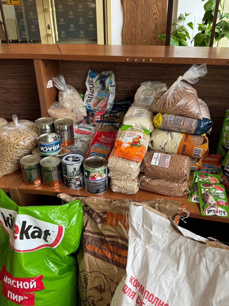 Фото галереи