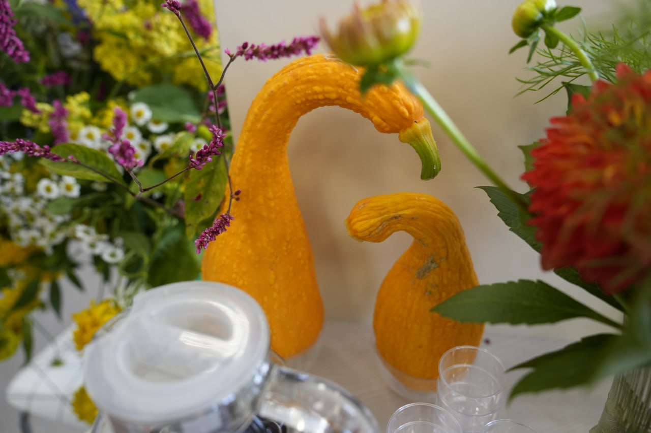 Фото галереи