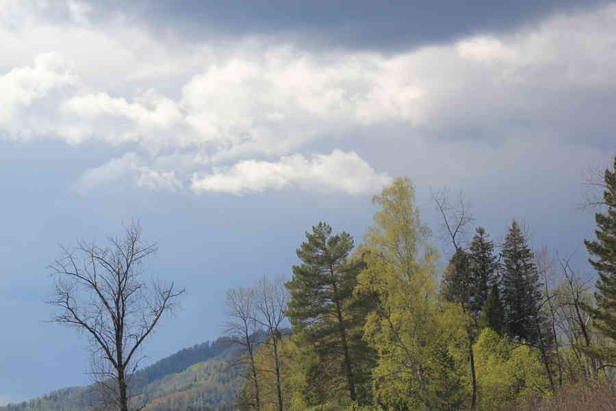 Фото галереи