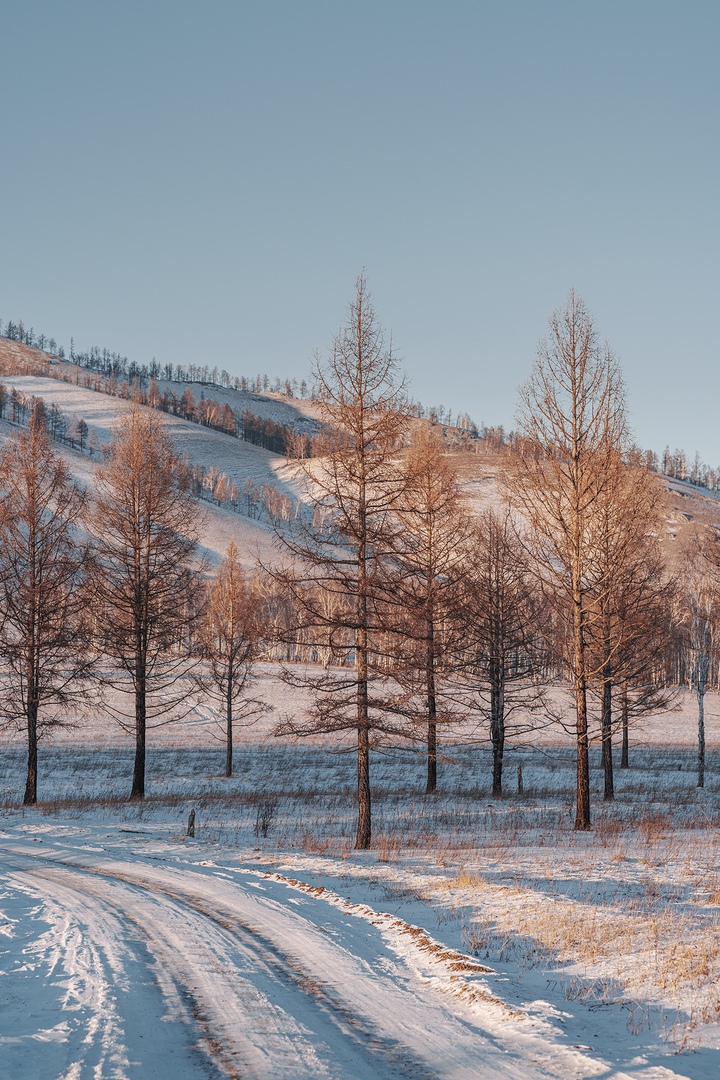 Фото галереи