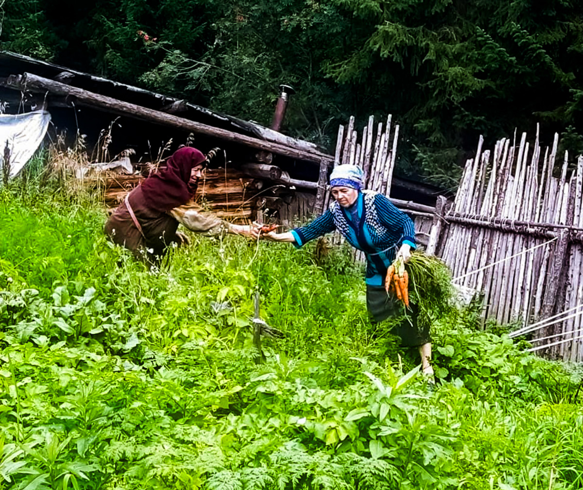 Фото галереи