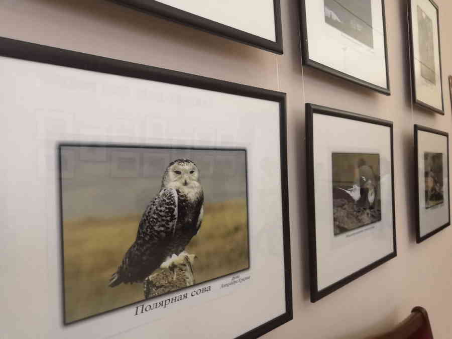 Фото галереи