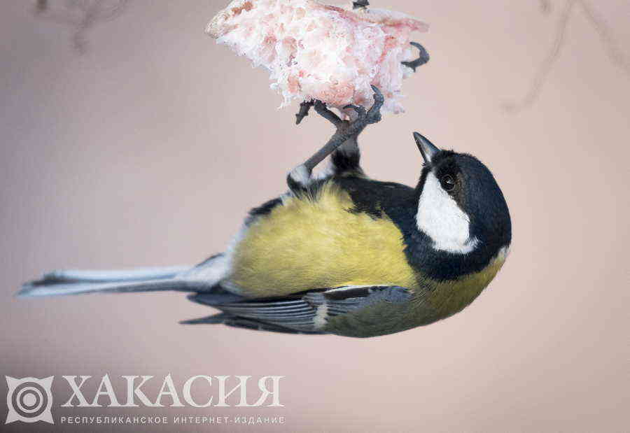 Фото галереи