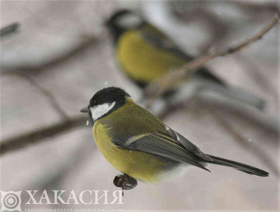 Фото галереи