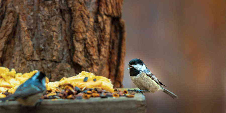 Фото галереи