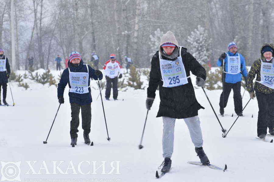 Фото галереи