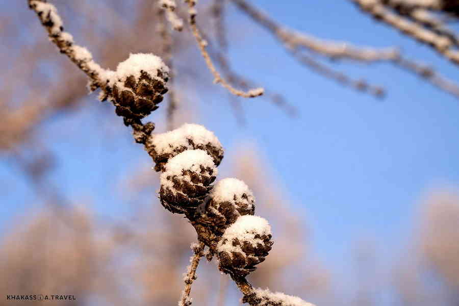 Фото галереи