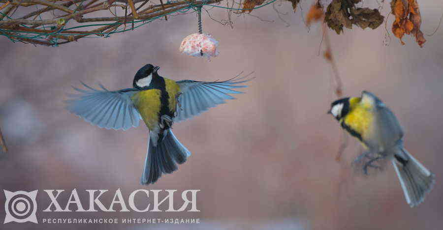 Фото галереи