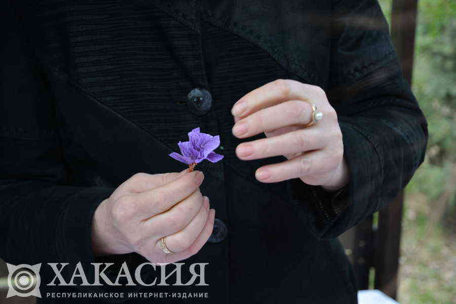 Фото галереи