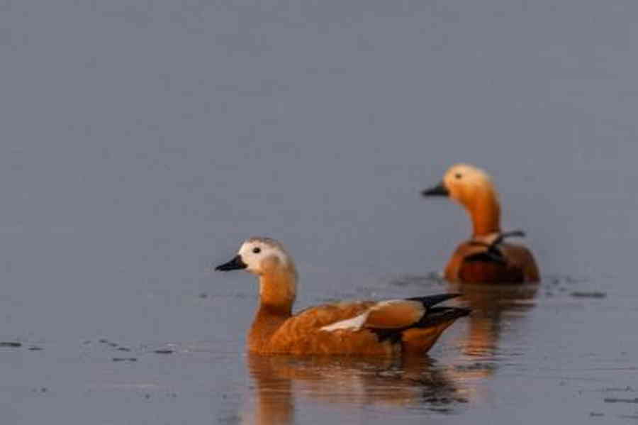 Фото галереи