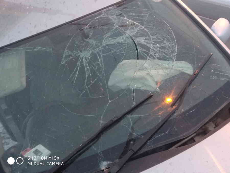 Фото галереи