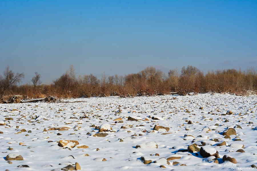 Фото галереи