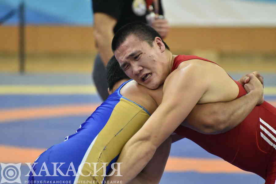 Фото галереи