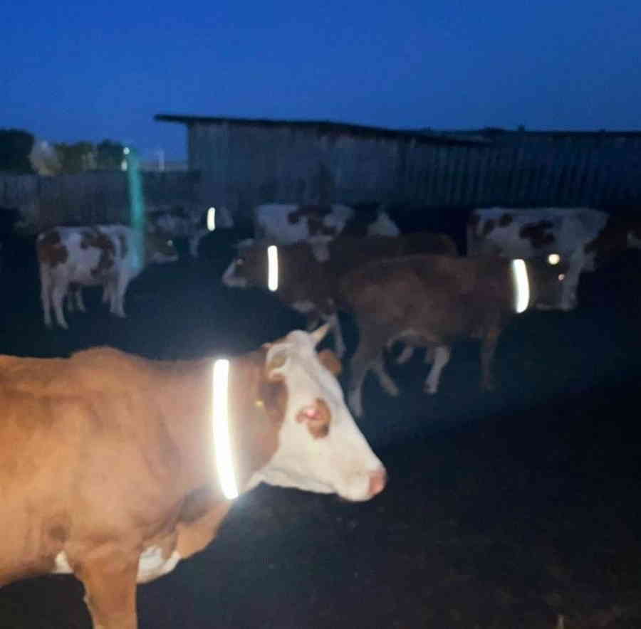 Фото галереи