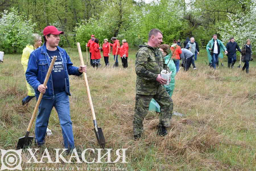 Фото галереи