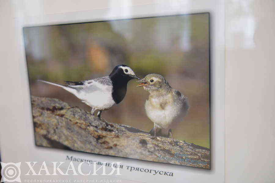 Фото галереи